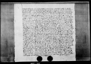 Pauls Schwicker von Ebingen, um ungenannte Verschuldung in das Gefängnis gelegt, schwört bei seiner Entlassung Urfehde.