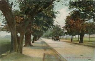 Leipzig: Lindenallee bei Schönefeld