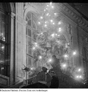 Weihnachtsbaum