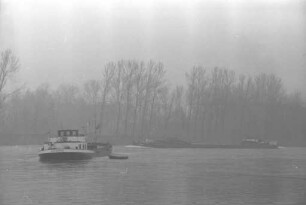 Motorschiff "Rheinperle", im Hörnlesgrund nördlich der Maxauer Rheinbrücke auf Grund gelaufen.