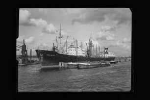 Birkenfels (1951), Frachtschiff, D.D.G. "Hansa", Bau-Nr. 696