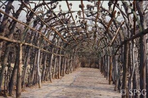 Potsdam, Park Sanssouci, Parterre Bildergalerie, Laubengang.