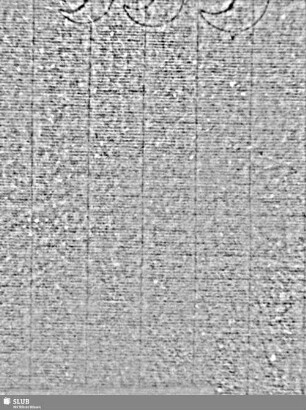 Komet + FF / Tre lune = S.59/60