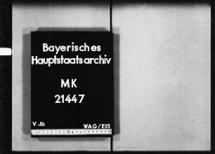 München. Luitpoldgymnasium. Im allgemeinen.
