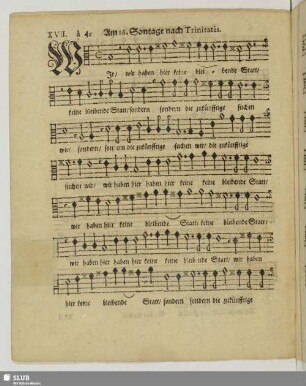 XVII. Am 16. Sontage nach Trinitatis: Wir wir haben hier keine bleibende Statt