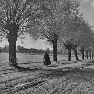 Herbst im Spreewald um 1940. Frau unterwegs in Alltagstracht. : Nazyma w Błótach wokoło 1940. Žona w Błótowskej wšědnej drasće po puću.