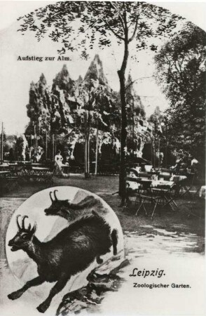 Leipzig: Zoologischer Garten ; Aufstieg zur Alm [Historische Postkarte aus dem Leipziger Zoo]