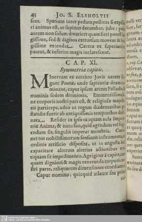 XI. Symmetria capitis