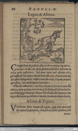 Asinus & Equus