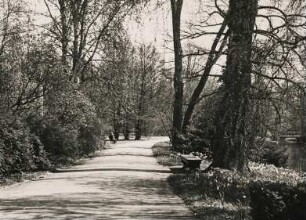 Potsdam. Frühling im Schlosspark Sanssouci