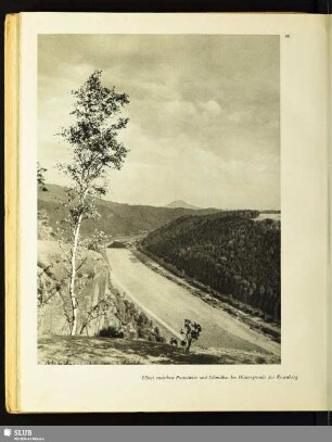 Elbtal zwischen Postelwitz und Schmilka. Im Hintergrund der Rosenberg