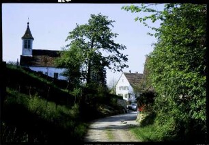 Zunzingen: junge Rebstöcke und Blütenbäume [Kirche]