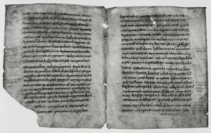 Doppelblatt 3 (2v, 3r)