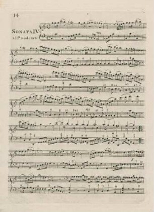 14-17 Sonata IV