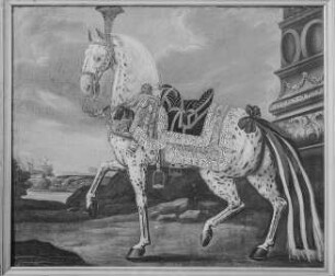 Reitpferd August des Starken in polnischer Aufzäumung