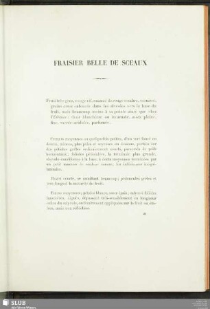 Fraisier Belle De Sceaux
