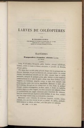 Larves De Coléoptères