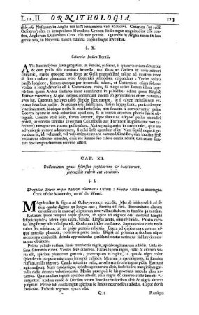 Cap. XII. Gallinaceum genus sylvestre phytivorum & baccivorum, supercilius rubris aut coccineis.