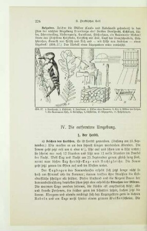 IV. Die entferntere Umgebung