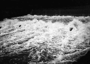 Freiburg: Wehr der Dreisam mit viel Wasser am Sandfang