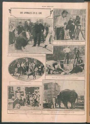 Los animales en el cine [Fotografías]