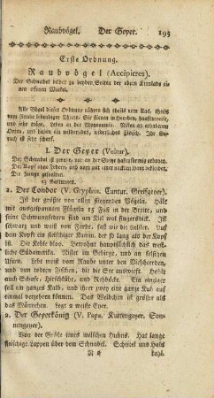 Erste Ordnung. Raubvögel