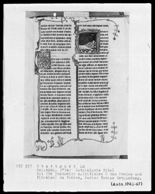 Lateinische Bibel, drei Bände — Initiale T (hobias) mit Tobias Erblindung, Folio 296recto