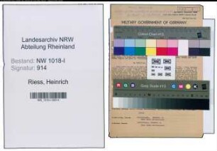 Entnazifizierung Heinrich Riess , geb. 16.07.1890 (Stadtinspektor)