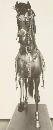 Pferd mit Reitzeug (Johann Georgs IV. ?)