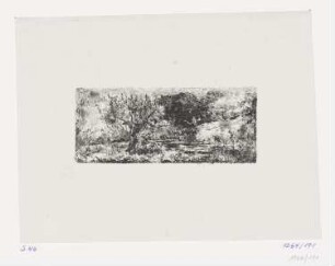 Kleiner Waldteich