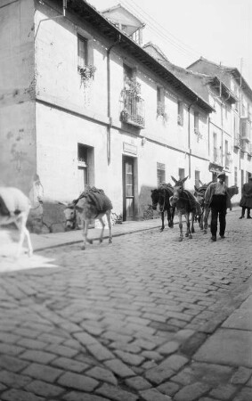Frankreich, Marseille : Reiseaufnahmen aus Frankreich, Marseille? Straße mit Lasteseln