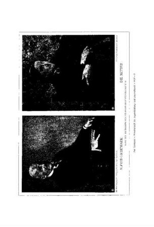 Alfred Lichtwark