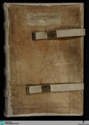 Tractatus de psalmo CI-CL - Cod. Aug. perg. 36