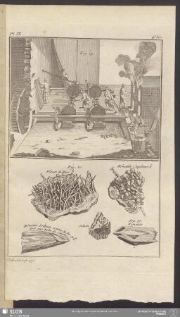 Pl. IX. 4e. Sec.