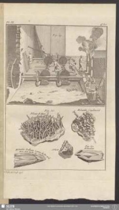 Pl. IX. 4e. Sec.
