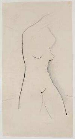 Torso