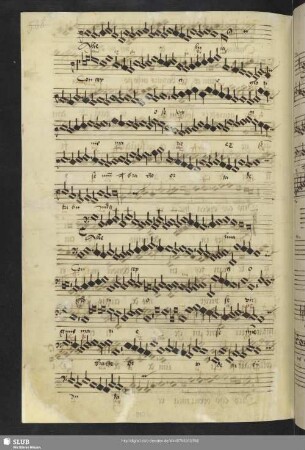 [Anon.:] Alleluia conceptio gloriose