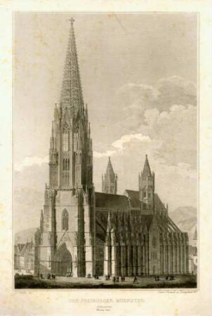 Der Freiburger Muenster, Südwestseite