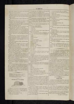 Les Rats du roi de Bavière