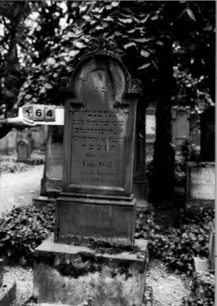 Grabstein 164
