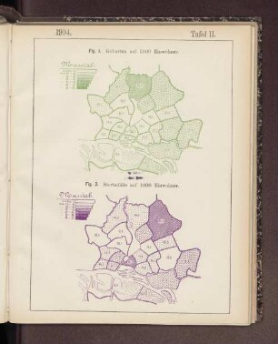 Tafel II. 1904. Fig. I. Geburten auf 1000 Einwohner.