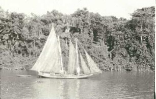 Reisefotos Brasilien. Blick vom Passagierschiff auf ein Segelschiff vor einem bewaldeten Ufer