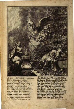 Aetatis humanae gradus : = Die Stuffen des Menschliche[n] Alters
