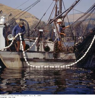 Israel: Fischfang See Genezareth