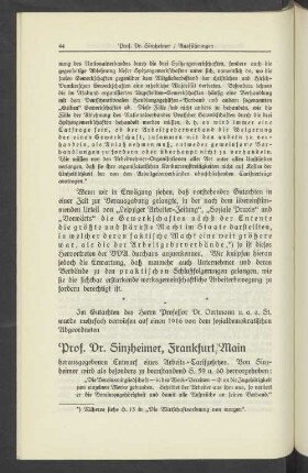 Prof. Dr. Sinzheimer / Ausführungen