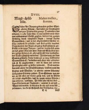XVIII. Magd-äpfelblüe. Malus mellea, florens.