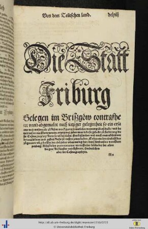 Die Statt Friburg.