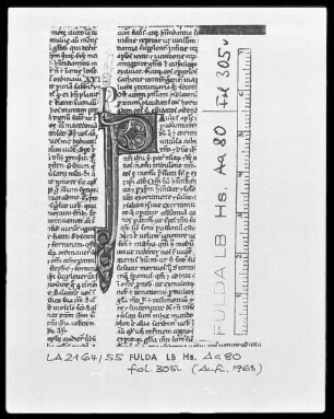 Biblia Latina — Initiale P, Folio 305verso