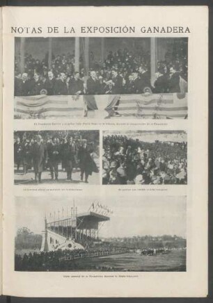 Notas de la Exposición Ganadera - [Fotografías]