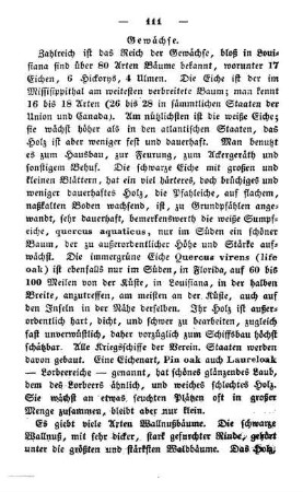 Waldbäume